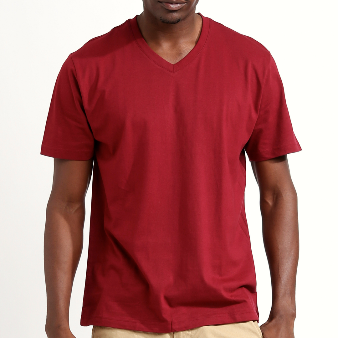 Regular Fit T-Shirt, V Neck