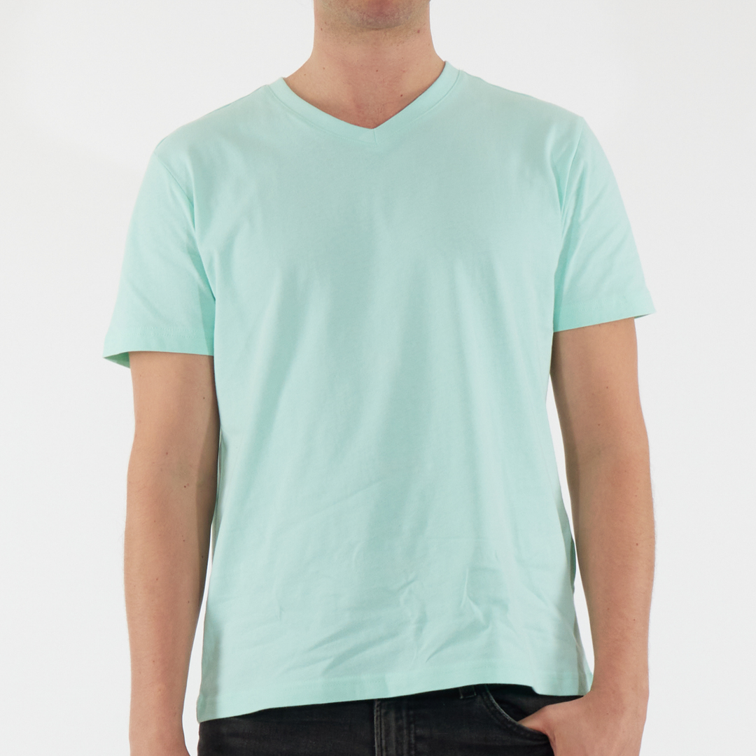 Regular Fit T-Shirt, V Neck