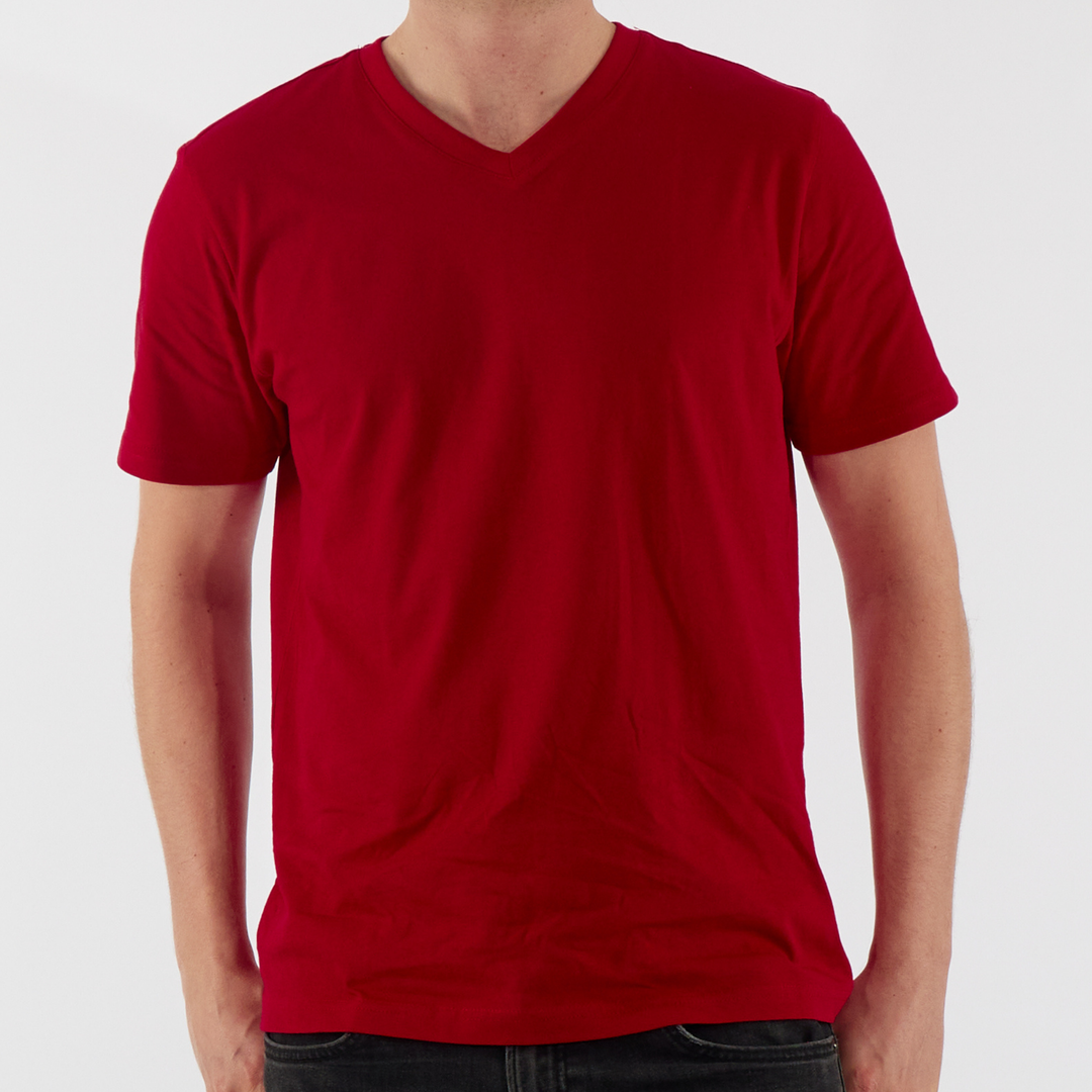 Regular Fit T-Shirt, V Neck