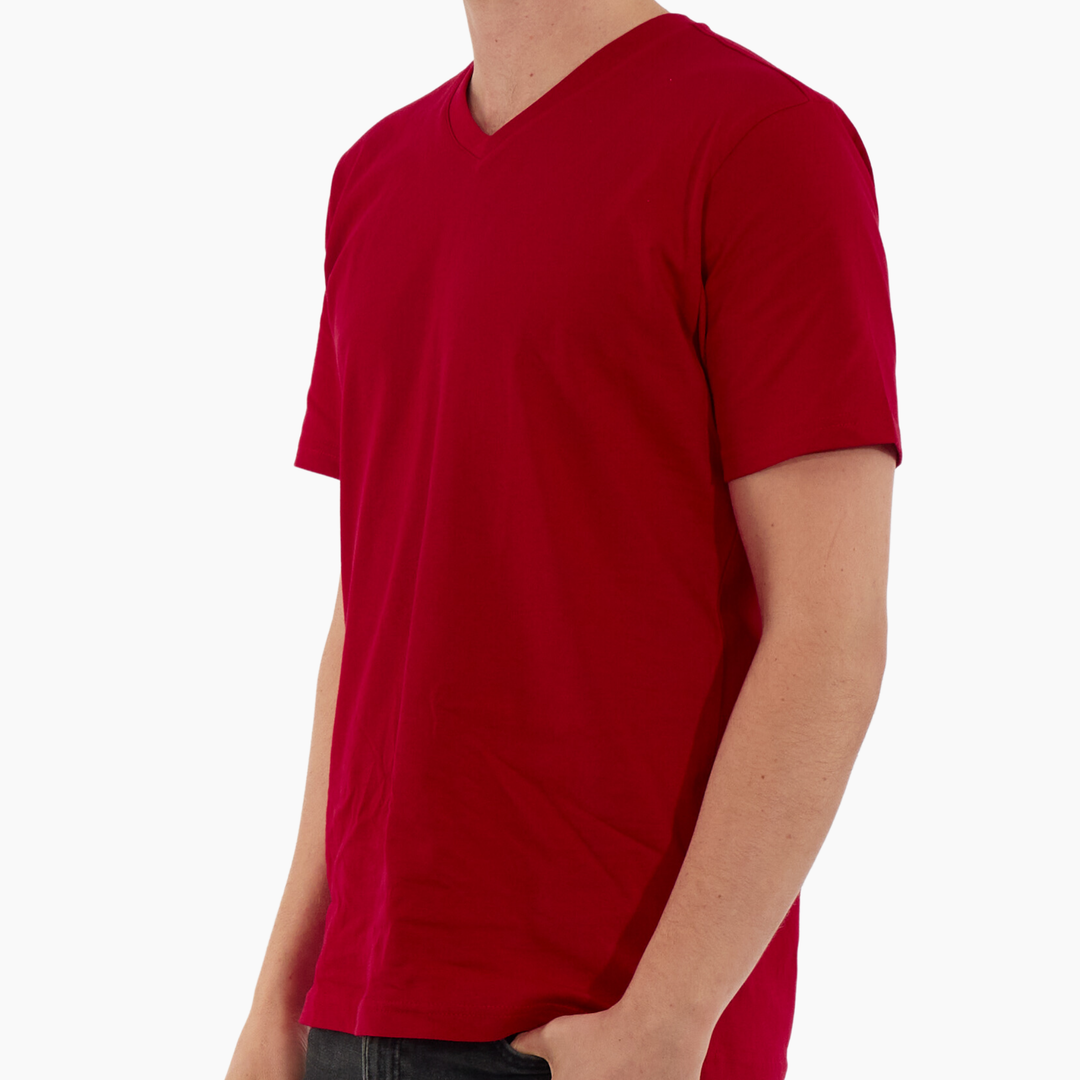 Slim Fit V-Neck T-Shirt